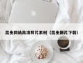 邯郸昆虫网站高清照片素材（昆虫图片下载）